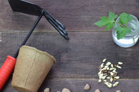Gardening. Garden tools and a pot of plant on a wooden table. To work in the gardenの写真素材