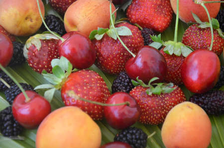 Berries overhead closeup colorful assorted mix of strawberry, blueberry, raspberry, blackberry, cherry, apricot, mulberry on green palm leaf backgroundの写真素材