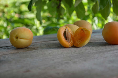 Apricot. Ripe Organic Apricots with leaves on a wooden table over green nature blurred background. Orchardの写真素材
