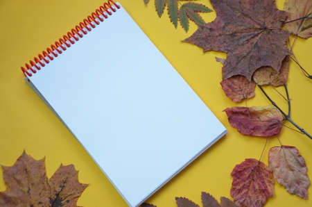Empty open notebook in foliage and decorated Autumn leaf. , focus on the blank page. Space for your...