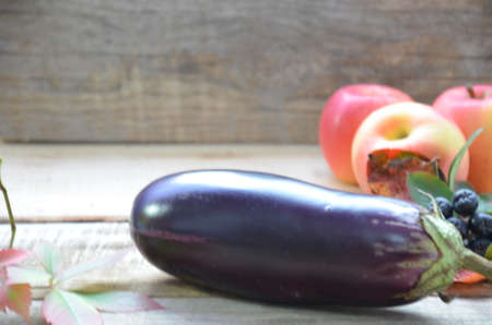 Harvest - ripe juicy eggplant (aubergine). Eggplants with autumn fall leaves and apples. The t...