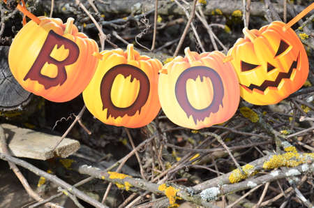 Halloween background. Spooky forest with dead trees and pumpkins.Halloween design with pumpkinsの写真素材