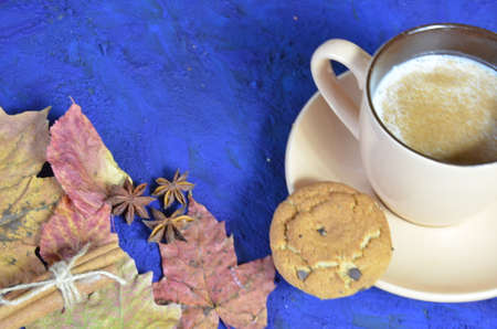 coffee cookies and spices on dark blue background. stylish winter or autumn flat lay. space for...