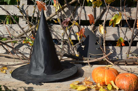 hat of witch with a pumpkin for Halloween