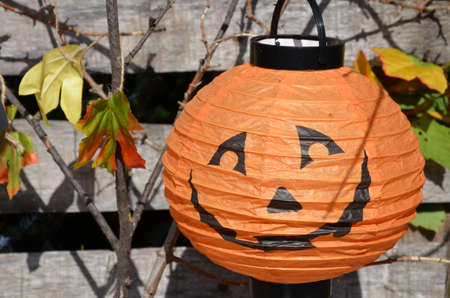 Halloween pumpkin head jack lantern on wooden forest backgroundの写真素材