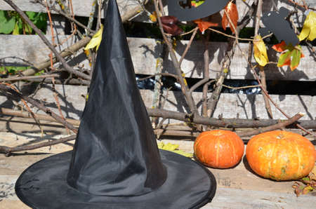hat of witch with a pumpkin for Halloweenの写真素材
