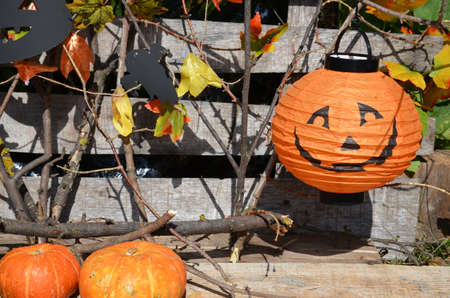 Halloween pumpkin head jack lantern on wooden forest backgroundの写真素材