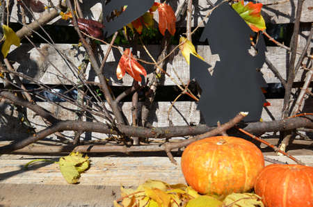 Halloween decorations in the front yard of a house on Halloween. ghost and batの写真素材
