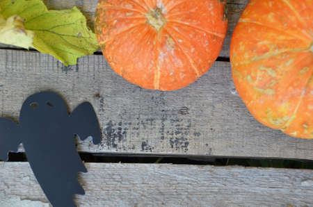 Halloween decorations in the front yard of a house on Halloween. ghost and batの写真素材