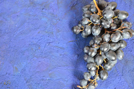 Autumn harvest, grapes, autumn fallen leaves, apples, plums, cinnamon, anise. wild grapes in autumn in the rainの写真素材