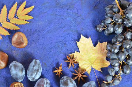 Autumn harvest, grapes, autumn fallen leaves, apples, plums, cinnamon, anise. wild grapes in autumn in the rainの写真素材