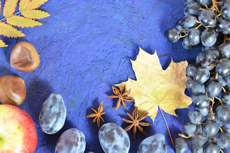 Autumn harvest, grapes, autumn fallen leaves, apples, plums, cinnamon, anise. wild grapes in autumn in the rainの写真素材
