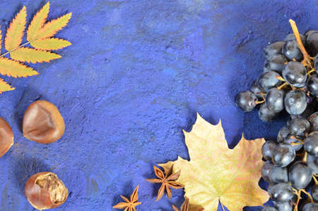 Autumn harvest, grapes, autumn fallen leaves, apples, plums, cinnamon, anise. wild grapes in autumn in the rainの写真素材