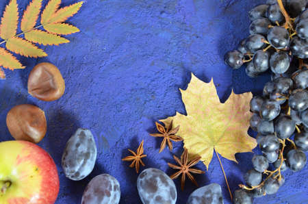 Autumn harvest, grapes, autumn fallen leaves, apples, plums, cinnamon, anise. wild grapes in autumn in the rainの写真素材