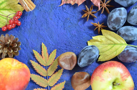 Autumn harvest, grapes, autumn fallen leaves, apples, plums, cinnamon, anise. wild grapes in autumn in the rainの写真素材