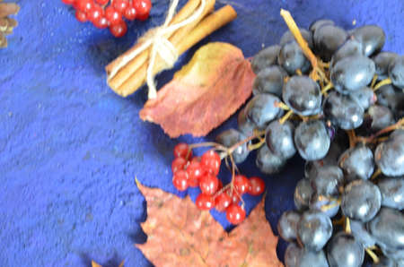 Autumn harvest, grapes, autumn fallen leaves, apples, plums, cinnamon, anise. wild grapes in autumn in the rainの写真素材