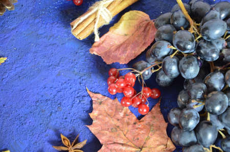 Autumn harvest, grapes, autumn fallen leaves, apples, plums, cinnamon, anise. wild grapes in autumn in the rainの写真素材