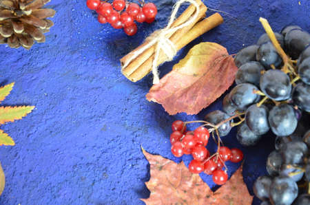 Autumn harvest, grapes, autumn fallen leaves, apples, plums, cinnamon, anise. wild grapes in autumn in the rainの写真素材