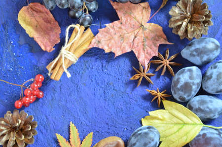 Autumn harvest, grapes, autumn fallen leaves, apples, plums, cinnamon, anise. wild grapes in autumn in the rainの写真素材
