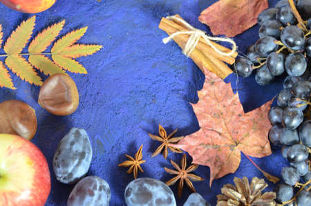 Autumn harvest, grapes, autumn fallen leaves, apples, plums, cinnamon, anise. wild grapes in autumn in the rainの写真素材