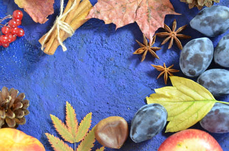 Autumn harvest, grapes, autumn fallen leaves, apples, plums, cinnamon, anise. wild grapes in autumn in the rainの写真素材