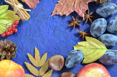 Autumn harvest, grapes, autumn fallen leaves, apples, plums, cinnamon, anise. wild grapes in autumn in the rainの写真素材