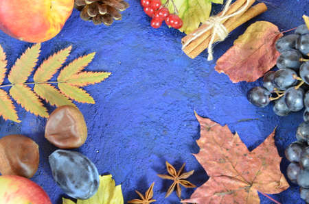 Autumn harvest, grapes, autumn fallen leaves, apples, plums, cinnamon, anise. wild grapes in autumn in the rainの写真素材