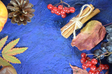 Autumn harvest, grapes, autumn fallen leaves, apples, plums, cinnamon, anise. wild grapes in autumn in the rainの写真素材