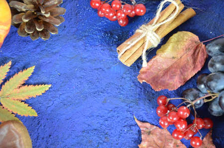 Autumn harvest, grapes, autumn fallen leaves, apples, plums, cinnamon, anise. wild grapes in autumn in the rainの写真素材