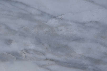 Sandstone gray texture for backgroundの写真素材