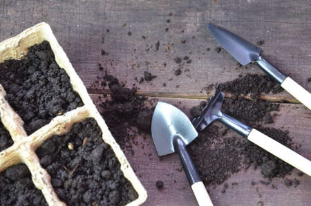 Gardening. Garden tools and a pot of plant on a wooden table. To work in the garden, spring planting...