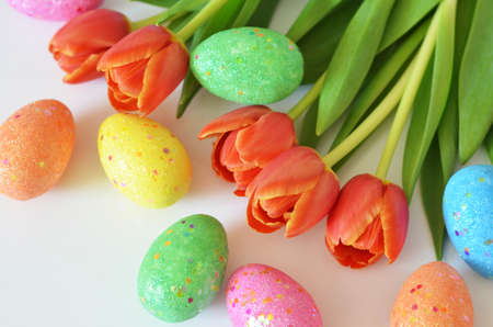 Happy Easter. Congratulatory easter background. Easter eggs and flowers tulip on white background..の写真素材