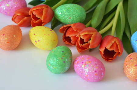 Happy Easter. Congratulatory easter background. Easter eggs and flowers tulip on white background..の写真素材