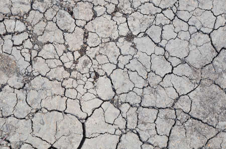 Dried cracked earth soil ground texture background. Mosaic pattern of sunny dried earth soilの写真素材