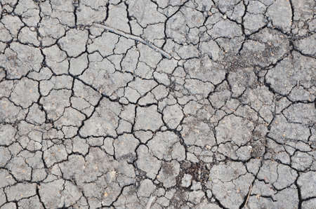 Dried cracked earth soil ground texture background. Mosaic pattern of sunny dried earth soilの写真素材