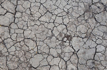 Dried cracked earth soil ground texture background. Mosaic pattern of sunny dried earth soilの写真素材