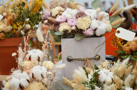 Big bunches of cotton standing in vases and hand made wooden wreaths by the window at the florist shop.の写真素材