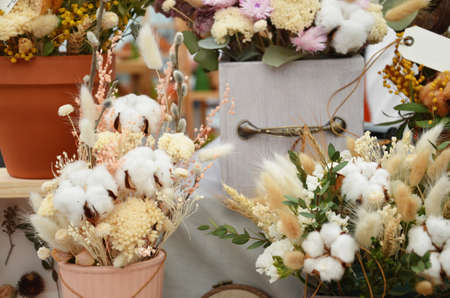 Big bunches of cotton standing in vases and hand made wooden wreaths by the window at the florist shop.の写真素材