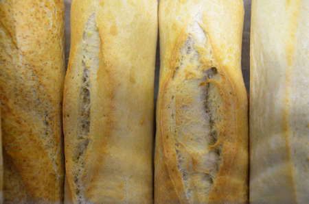 Different kinds of bread rolls on on baking paper from above. Kitchen or bakery poster design.の写真素材