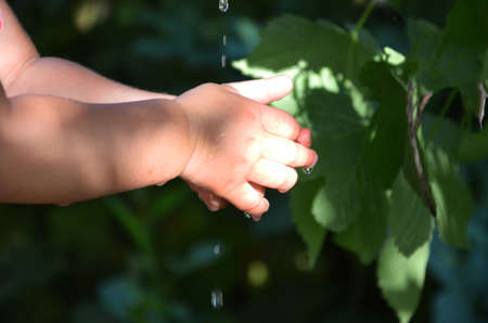 baby washes his hands. Children's hands with drops of pure water on the background of green foliage. The concept of protecting children, happy childhood, ecology, tenderness. A child cups a small stream of slow flowing water from a single tapの写真素材