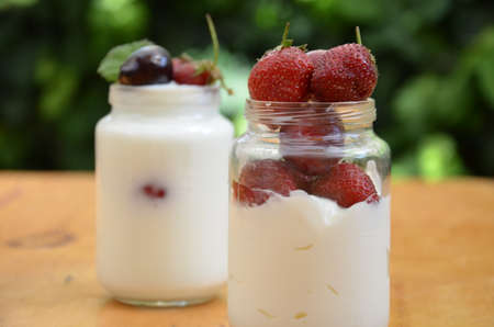 Healthy breakfast - granola, strawberries, cherry, honeysuckle berry, nuts and yogurt in a bowl. Vegetarian concept food. Top view pudding or cocktail on the background of green foliage.の写真素材