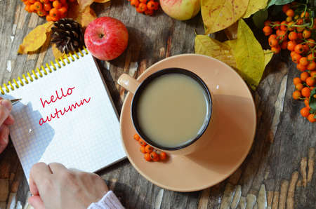 Tag with words hello autumn and the cup of coffee lying on the books with dry yellow maple leaves and everlasting flowers on backgroundの写真素材