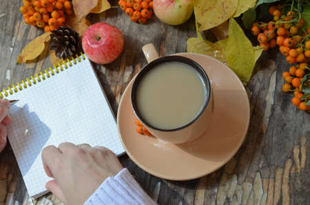 Workspace with golden maple leaves, notebook, coffee cup. Stylish office desk. Autumn or Winter concept. Flat lay, top view. A female hand in a white knitted suite writes in a red handmade notebook, dry autumn leaves, apples and berries next to a cup of cappuccino coffee.の写真素材