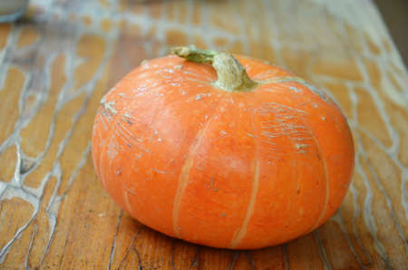 Orange autumn pumpkin on a background of green foliage. - Thanksgiving And Fall Background.の写真素材