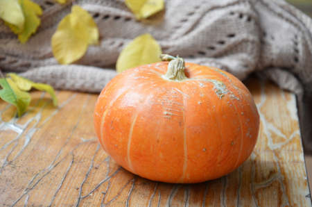 Autumn still life from tray full of pumpkin, leaves, cones, scarf, mug of cocoa, coffee or hot chocolate with marshmallow on plaid with garland. Concept warm home comfortの写真素材