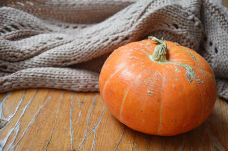 Autumn still life from tray full of pumpkin, leaves, cones, scarf, mug of cocoa, coffee or hot chocolate with marshmallow on plaid with garland. Concept warm home comfortの写真素材