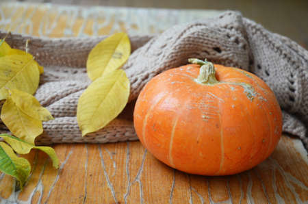 Autumn still life from tray full of pumpkin, leaves, cones, scarf, mug of cocoa, coffee or hot chocolate with marshmallow on plaid with garland. Concept warm home comfortの写真素材