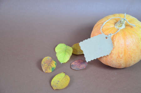 Thanksgiving Day. Pumpkin, pumpkin with autumn leaves and apples. Autumn harvest on a brown background. Happy Thanksgiving Lettering set table for celebration. fork and knife.の写真素材