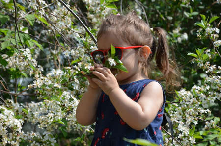 beautiful girl stands among the flowering trees. Lovely cute little girl in red sunglasses spring blooming garden a tree with white flowers. Happy childhood, the awakening of nature Portrait Romanceの写真素材