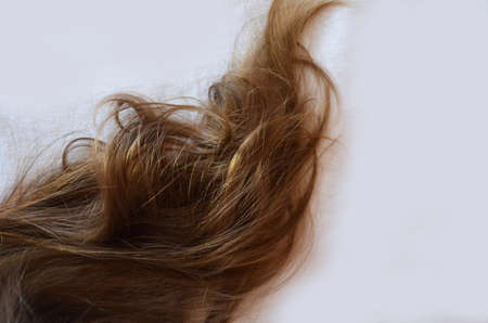 piece of brown hair on white isolated background. healthy and shinyの写真素材